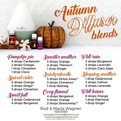 Fall Essential Oil Blends, Living Oils Recipes, Fall Essential Oils, Fall Diffuser Blends, Diy Essential Oil Recipes, Essential Oil Diffuser Blends Recipes, Young Living Essential Oils Recipes, Essential Oil Diffuser Recipes, Yl Essential Oils