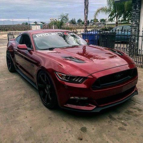 Red Shelby Gt500, Burgundy Mustang, Mustang Gt Red, Burgundy Car, Mustang Red, Sports Cars Mustang, Ford Mustang Wallpaper, Red Mustang, Black Mustang