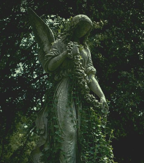 Mossy Statue Aesthetic, Vampire Green Aesthetic, Cold Green Aesthetic, Nature Taking Over, Changeling Core, Fairycore Pictures, Dusty Green Aesthetic, Eretheal Aesthetic, Garden Aesthetic Dark