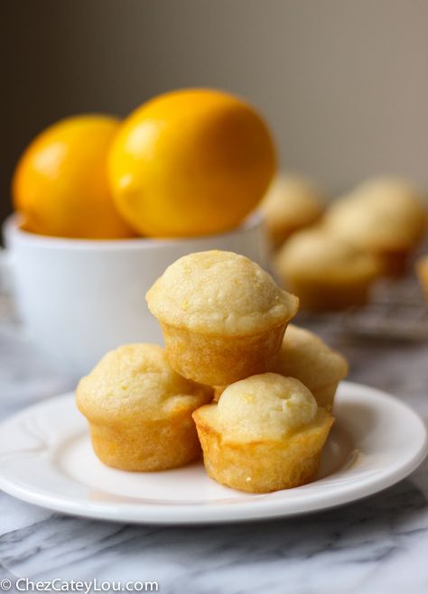 Sweet and floral Meyer lemons are the star of the show in these Meyer Lemon Mini Muffins. Greek yogurt keeps them so light and moist - they are delicious! Muffins Greek Yogurt, Blueberry Yogurt Cake, Meyer Lemon Recipes, Mini Muffin Recipe, Whiskey Sour Recipe, Lemon Treats, Lemon Muffins, Meyer Lemon, Lemon Desserts