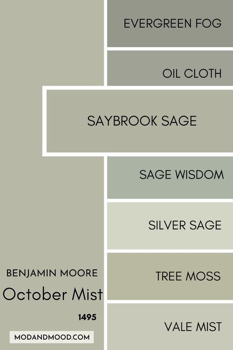 Benjamin Moore October Mist swatched beside similar colors, with a large swatch of Saybrook Sage over the others. Silver Sage Benjamin Moore, Benjamin Moore Green Gray, Green Paint Colors Benjamin Moore, Saybrook Sage, Benjamin Moore Paint Colors Gray, October Mist, Benjamin Moore Bedroom, Benjamin Moore Green, Benjamin Moore Kitchen