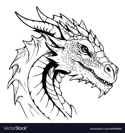 Dragon Head Line Art, Face Drawing Front View, Dragon Face Drawing, Front View Reference, Scribal Art, Dragon Head Art, Dragon Line Drawing, Dragons Drawings, Dragons Illustration