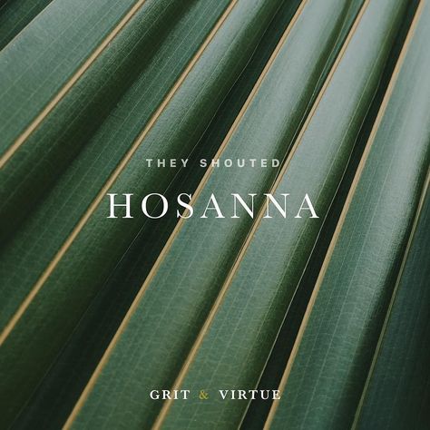 Palm Sunday Quotes, Sunday Bible Verse, Beauty Brochures, Worship Wallpaper, Hosanna In The Highest, Son Of David, Lord John, Sunday Quotes, Palm Sunday