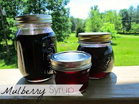 Mulberry Jelly, Homemade Grape Juice, Mulberry Recipes, Elderberry Syrup Recipe, Blueberry Jam Recipe, Herb Shop, Elderberry Syrup, Jam And Jelly, Canning Food