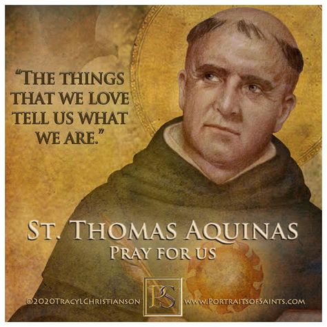 St. Thomas Aquinas  Pope Benedict XV declared: "This (Dominican) Order ... acquired new luster when the Church declared the teaching of Thomas to be her own and that Doctor, honored with the special praises of the Pontiffs, the master, and patron of Catholic schools." Saint Thomas Aquinas Quotes, Good Shepherd Sunday, Thomas Aquinas Quotes, Dominican Friar, St Thomas Aquinas, Happy Feast, Saint Thomas Aquinas, Catholic Memes, Saint Thomas