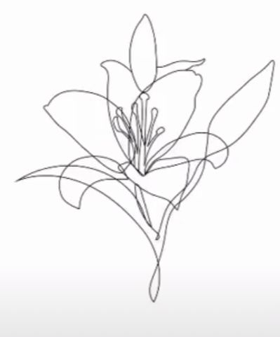 Datum Tattoo, Lilies Drawing, Lily Flower Tattoos, Line Art Flowers, Lily Tattoo, Line Art Tattoos, Floral Drawing, Discreet Tattoos, Dainty Tattoos