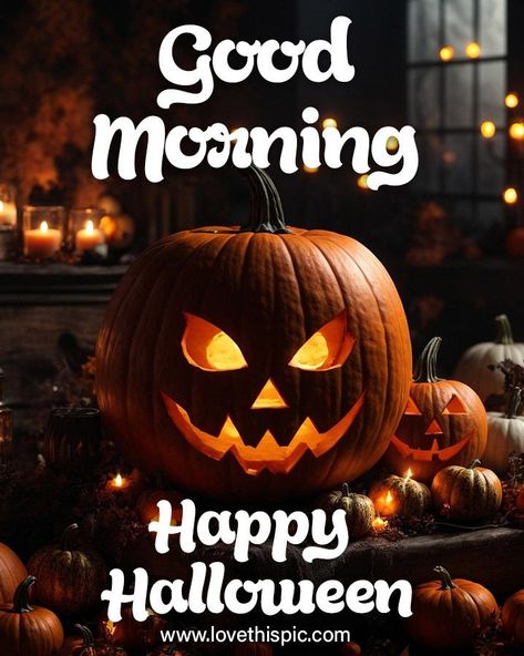 Good Morning & Happy Halloween 🎃 Good Morning Happy Halloween, Happy Halloween Images, Holiday Day, Halloween Images, Good Morning Happy, Happy Halloween, Good Morning, Holidays, Halloween