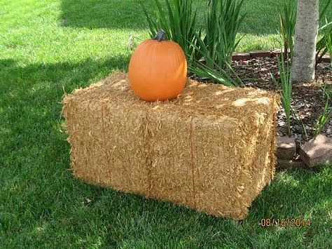 Fall Hay Bale Display, Fall Hay Bale, Raffia Crafts, Diy Straw, Fake Pumpkins, Straw Bales, Hay Bales, Halloween Displays, Old Farm