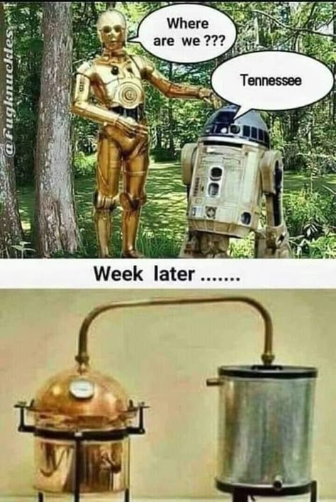 Memes Of The Day, Pictures Of The Week, Need A Laugh, Star Wars Humor, Twisted Humor, Memes Humor, Ha Ha Ha, Just Funny, Made Me Laugh