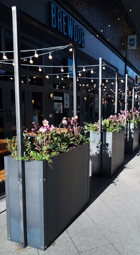 Trough Planters, British Weather, Interior Plants, Outdoor Restaurant, Plants And Flowers, Flower Decor, Outdoor Dining Area, Great British, Space Design