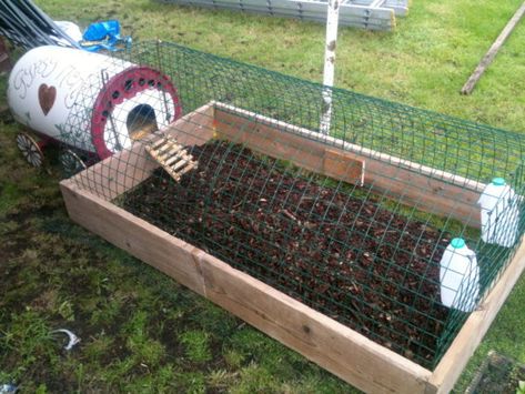 Make A Chicken Coop, Chicken Enclosure, Chicken Coop Blueprints, Chicken Fence, Chicken Houses, Raising Quail, Wooden Chicken, Poultry House, Chicken Tractor