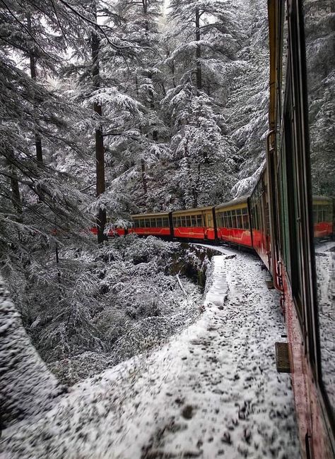 Kalka- Shimla toy train Shimla Toy Train, Travel India Beautiful Places, Honeymoon Tour Packages, Honeymoon Tour, Magical Winter, Adventure Travel Explore, Honeymoon Packages, Holiday Packages, Shimla