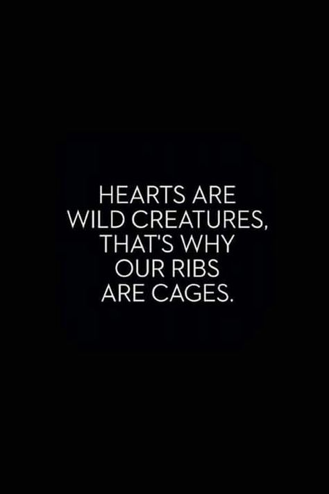 Hearts are wild creatures, thats why our ribs are cages Skeleton Quotes, Ghost Quote, Smart Quotes, Wild Creatures, Poem Quotes, What’s Going On, A Quote, Famous Quotes, Pretty Quotes