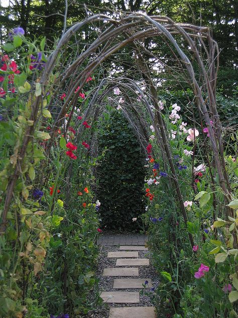 sweet pea trellis, I hadn't thought of this before but I could plant sweet peas at the base of my apple tree trellis...hmmm Natural Arbor, Pea Trellis, Allotment Ideas, Herbs Garden, Garden Vines, Have Inspiration, Sweet Peas, Garden Trellis, The Secret Garden