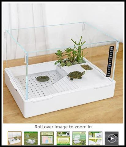 BETAZOOER Turtle Tank with Adjustable Water Pump Filter, Full View Visually Tortoise Aquarium Habitat, Easy Changing Water and Clean for Small Amphibious Creatures Reptiles (15.7×11.8×10Inch) Small Turtle Tank, Tortoise Aquarium, Turtle Tank Setup, Turtle Tanks, Turtle Aquarium, Turtle Care, Tortoise Habitat, Turtle Habitat, Turtle Pond