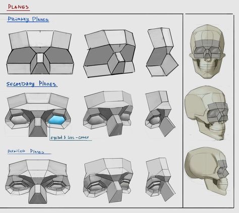 Planes Of The Face, Portrait Drawing Tips, Head Anatomy, Face Anatomy, 얼굴 드로잉, Digital Painting Techniques, Human Anatomy Drawing, 얼굴 그리기, Human Figure Drawing