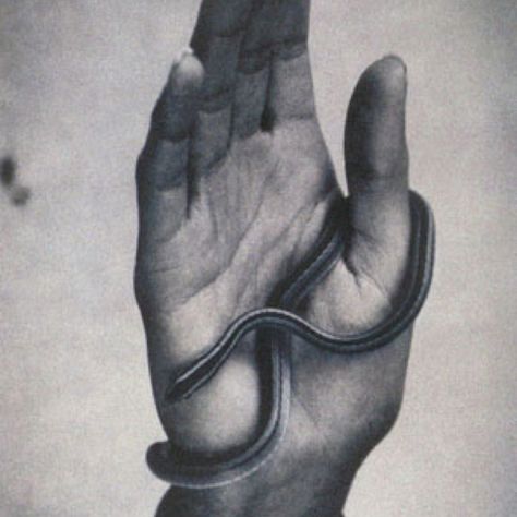 Hand...Shiela Metzner Hand With Snake, New York Landscape, Edward Steichen, American Photography, William Eggleston, Diane Arbus, Kim Basinger, Robert Mapplethorpe, Alfred Stieglitz