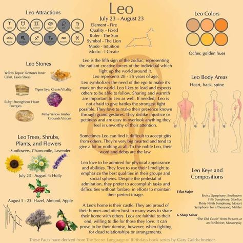 Astrology 2023, Sagittarius Crystals, Spiritual Astrology, Leo Sun Sign, Leo Personality, Zodiac Signs Elements, Venus In Leo, Leo Quotes, Leo Zodiac Facts