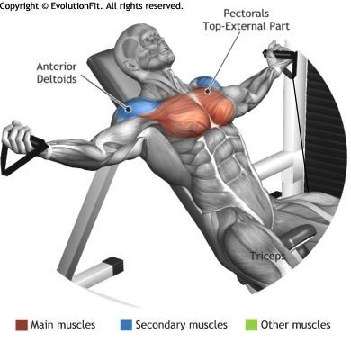 CHEST -  INCLINE BENCH CABLE FLYES Lat Exercises, Dumbbell Row, Chest Workout For Men, Latihan Dada, Workout Chart, Chest Workouts, Bodybuilding Training, Chest Workout, Bench Press