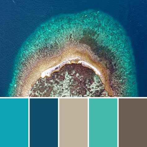 Coral Reef Mood Board Reef Color Palette, Coral Reef Palette, Ocean Color Palette, Coral Reef Color, Watercolor Pallet, Blue Palette, Sea Coral, Ocean Colors, Blue Ring