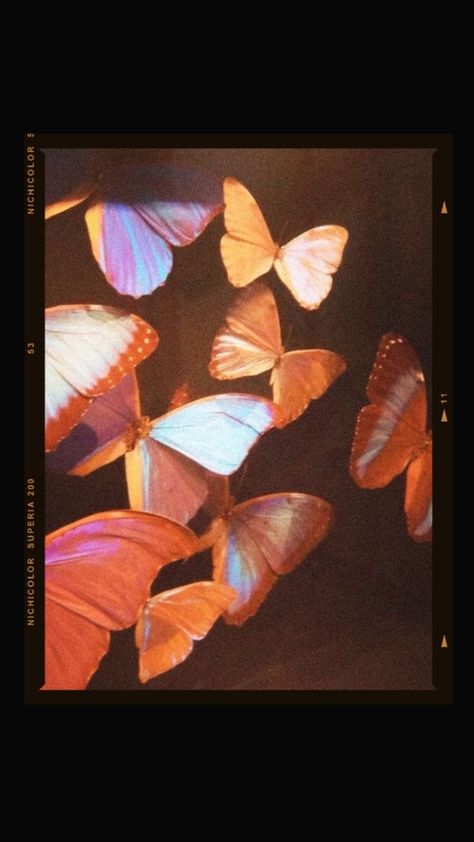 Aesthetic Pictures Of Butterflies, Blue Butterfly Background Aesthetic, Into The Wild, Cute Wallpaper Backgrounds, Scenery Wallpaper, Pretty Pictures, Pretty Wallpapers, Aesthetic Art, Art Wallpaper