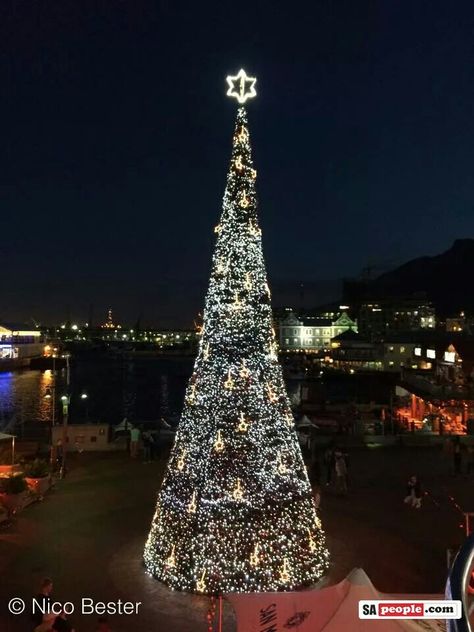 Stunning Christmas Tree at the V&A Waterfront Cape Town - South Africa Christmas In South Africa, South Africa Christmas, Waterfront Cape Town, African Christmas, V&a Waterfront, Gift Drawing, Black Christmas Trees, Christmas Town, Wooden Christmas Trees