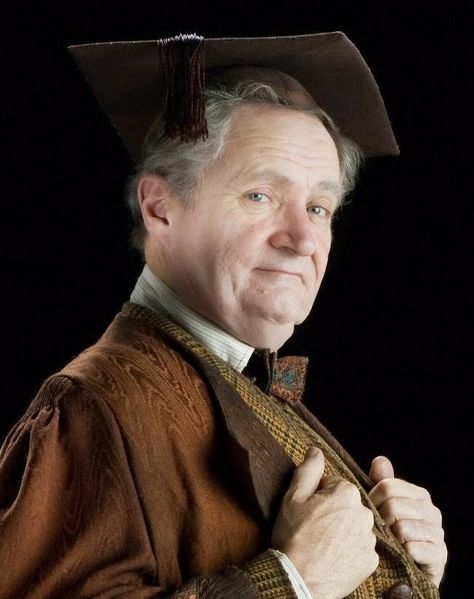 Jim Broadbent as Professor Horace Slughorn from "Harry Potter and the Half-Blood Prince" Horace Slughorn, Harry Potter Professors, Hogwarts Professors, Dolores Umbridge, Harry Potter Wiki, Harry Potter Painting, School Of Witchcraft, Images Harry Potter, Slytherin House