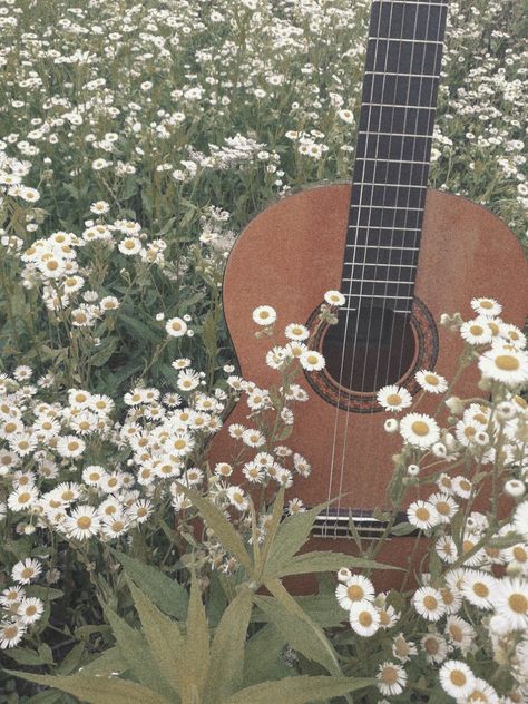 Cottagecore Guitar Aesthetic, Cottagecore Music Aesthetic, Cottagecore Guitar, Quinncore Aesthetic, Vintage Soft Aesthetic, Paisley Core, Cottagecore Music, Ukulele Aesthetic, Gitar Vintage