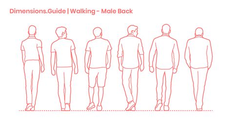 Collection of humans, men in particular, walking in back profile with various postures and stances. Both outlined and detailed silhouettes are available as useful figures for adding human scale to drawings. Adult men have an average height of 5’9” (1.75 m). How To Draw Back Profile, People From Behind Reference, Person From Behind Drawing, Drawing People From Behind, Male Back, Back Profile, Walking Poses, Human Dimension, Human Scale