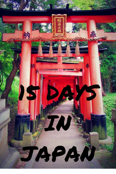 15 DAYS IN JAPAN: Day 6 to 10. Continuing the journey... Travel itinerary for Kyoto and Nachi Katsuura. Japan 15 Days, Japan Itinerary 15 Days, 2 Weeks In Japan, Fishing Town, Japan Itinerary, Japan Vacation, Travel Japan, Travel Asia, Visit Japan