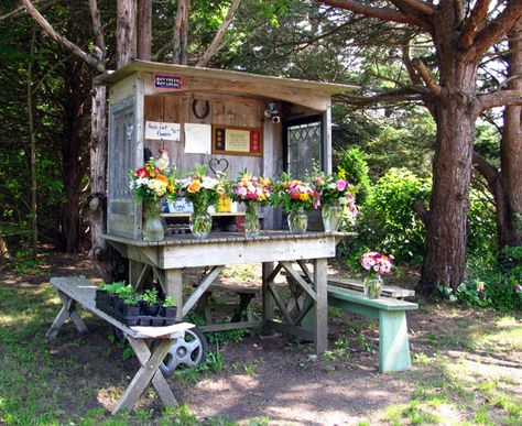 Pictures of roadside Flower Stands | The flower stand holds an abundance of colorful summer blossoms. Farmers Market Stand, Vegetable Stand, Cut Flower Farm, Top Farm, Farm Gate, Flower Truck, Flowers For Sale, Garden Stand, Market Garden