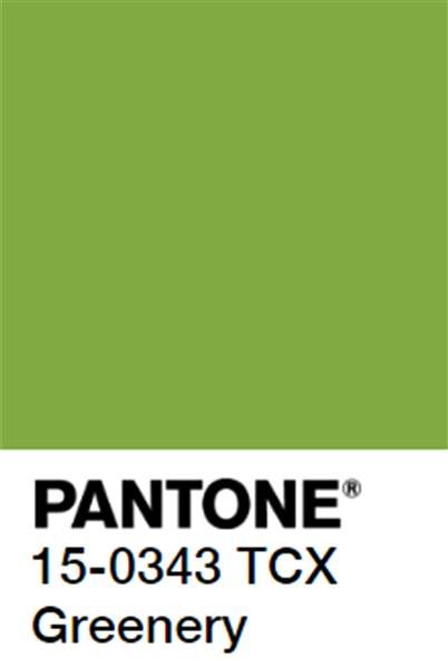 Pantone’s 2017 color of the year is a lovely shade of ‘greenery’ Greenery Pantone, Pantone Green, Pantone 2017, Pantone Color Chart, Color Pantone, Paint Color Schemes, Color Of The Year, Green Aesthetic, Pantone Color