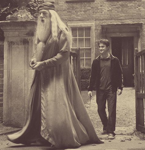 Is Dan really THAT short or is Gambon really that tall? Harry Potter Half Blood Prince, Michael Gambon, Images Harry Potter, Half Blood Prince, Hogwarts Is My Home, Never Leave Me, Harry James, Harry James Potter, Harry Potter Pictures