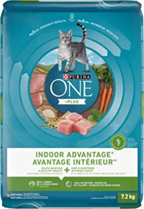 Amazon.ca: All Dry Cat Food Kitten Formula, Purina One, How To Grow Muscle, Urinary Tract Health, Natural Cat Food, Cat Food Brands, Protein Nutrition, Kitten Food, Sensitive Stomach