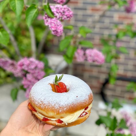 Fruit Donut, Square Donut, Donut Plating, Donut Sandwich, Donut Design, Homer Donuts, Square Donuts, Vegan Bagel, Strawberry Donuts