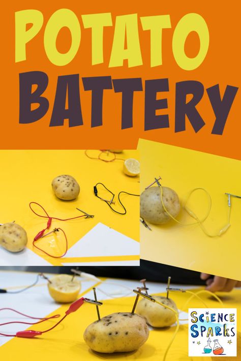 Find out how to make a potato battery. Use two potatoes, crocodile clips and an LED for this easy kids electricity project Potato Battery Science Project, Electricity Experiments For Kids, Electricity Projects For Kids, Electricity For Kids, Fourth Grade Science Projects, Diy Torch, Electricity Science Experiments, Electricity Projects, Electricity Activities