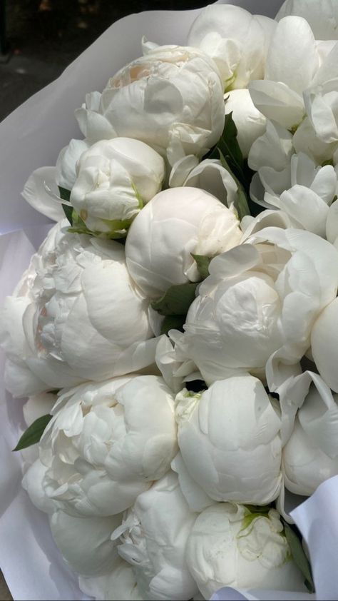 White Peonies Wallpaper, Peony Flower Wallpaper, Peonies Aesthetic, White Peony Bouquet, Peony Wedding Bouquet, White Peonies Bouquet, Luxury Flower Bouquets, Peony Wallpaper, Boquette Flowers