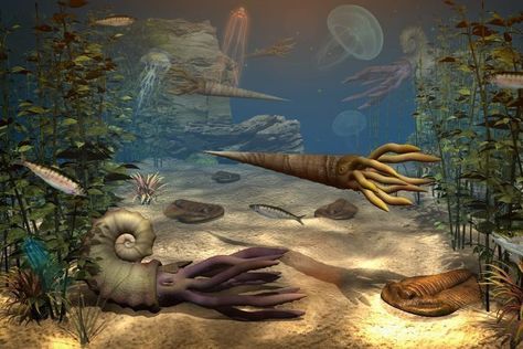 Paleozoic Era, Evolution, Image Search, Animals, Art