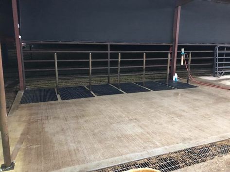 Wash rack Cattle Wash Rack Ideas, Cattle Wash Rack, Show Cattle Wash Rack, Show Lamb Barn Ideas, Show Barn Ideas Cattle, Show Cattle Barn Layout, Wash Rack For Cattle, Barn Interior Ideas, Show Sticks For Cattle