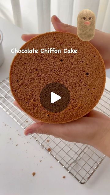 How To Make Chiffon Cake, Chocolate Chiffon Cake Recipe, Chiffon Cake Recipe, Chocolate Chiffon Cake, Recipe Baking, Cafe Bakery, Cute Cafe, Bakery Desserts, Cake Trends