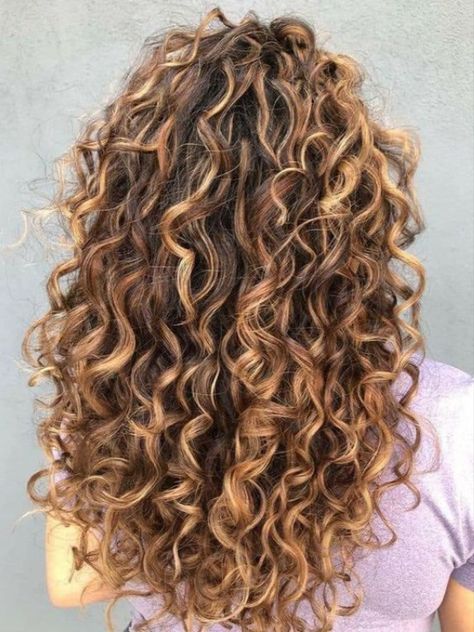 Mid Length Curly Hair Balayage, Auburn Curly Hair With Highlights, Curly Balayage Hair Red, Honey Highlights On Brown Hair Curly, Auburn Balayage Curly Hair, Wavy Hair Highlights, Curly Hair For School, Light Brown Curly Hair, Hair Highlights Curly Hair