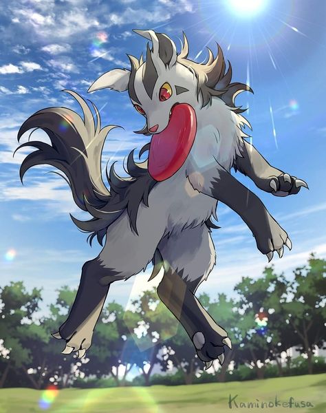 Mightyena Art, Pokemon References, Dog Pokemon, Wild Pokemon, Pokémon Stuff, Pokemon Oc, Cute Pokemon Pictures, Pokemon Eevee, Pokemon Collection