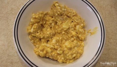 Homemade Dog Food For Liver Issues, Food For Liver, Dogs Food Recipes, Nutrition Diet Plan, Diy Dog Food, Dog Breeding, Vegan Dog, Liver Diet, Easiest Dogs To Train