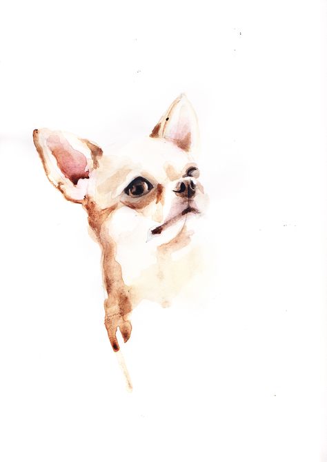 Watercolor Chihuahua Dog Paintings, Chihuahua Watercolor Painting, Chihuahua Painting Easy, Chiuahaha Drawing, Watercolor Chihuahua, Chihuahua Illustration, Chihuahua Painting, Art Deco Cards, Chihuahua Art