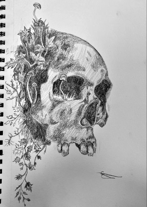 Graphite drawing based of a pin i saved (couldn’t find the original photographer) Foundations Of Decay Tattoo, Growth And Decay Art Gcse Title Page, Decay And Growth Art, Overgrown Skull Drawing, Dead Nature Painting, Decay Art, Rustic Birthday, Drawing Now, Graphite Drawings