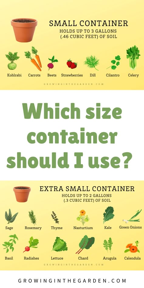 Guide to Container Sizes: Which Size Container Should I Use? - Growing In The Garden Growing Vegetables In Pots, Bucket Gardening, Container Vegetables, Garden Veggies, Starting A Garden, Veg Garden, Home Vegetable Garden, Container Gardening Vegetables, Garden Containers