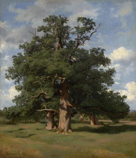 Philadelphia Museum of Art - Collections Object : Oak Trees Landscape Tree Painting, Oak Tree Aesthetic, Oak Tree Painting, Oak Tree Art, Tree Oil Painting, Props Design, Arbor Day, Old Oak Tree, Philadelphia Museums