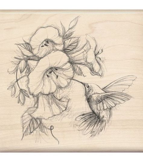 Hummingbird Tattoo, Illustration Botanique, Desenho Tattoo, Humming Bird, Family Tattoos, Birds Tattoo, Bird Drawings, Hummingbirds, Pyrography