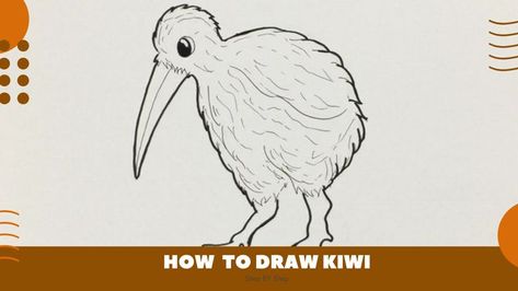 How to Draw Kiwi Easy | Bird Easy Bird, Drawing Lessons For Kids, Fun Cute, Learn How To Draw, Drawing Lessons, Lessons For Kids, Learn To Draw, Having Fun, Easy Step