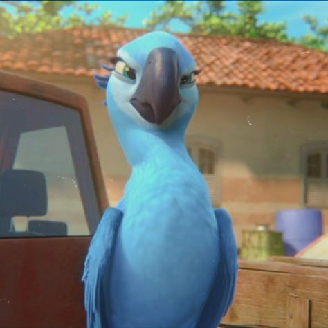 Jewel Rio, Rio 2, Blue